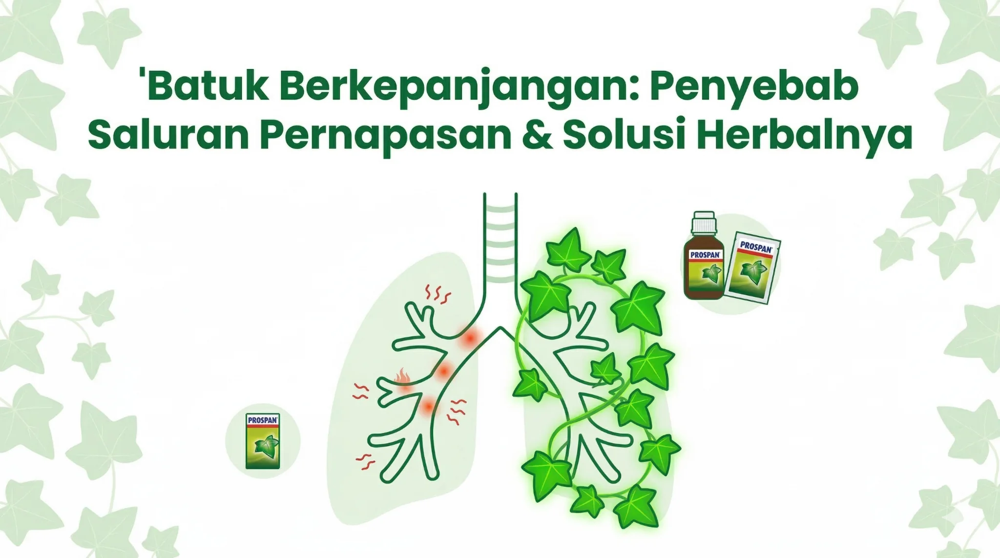 Penyebab Batuk Berkepanjangan Solusi Herbalnya